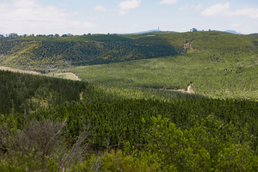 0 Bedroom Property for Sale in Pezula Private Estate Western Cape